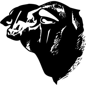 COW007 Thumbnail