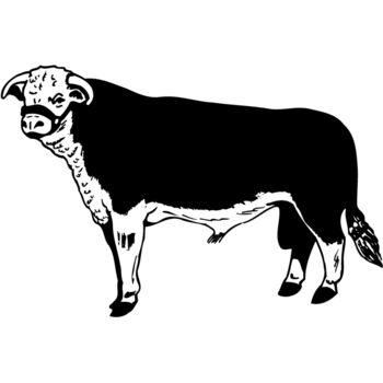 COW012 Thumbnail
