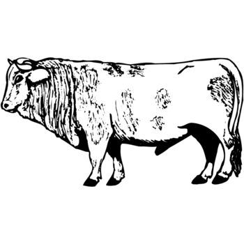 COW014 Thumbnail