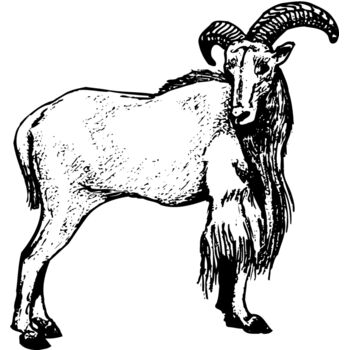 RAM001 Thumbnail