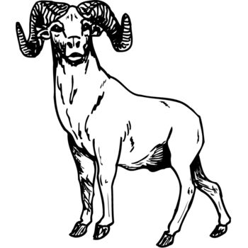 RAM009 Thumbnail