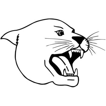 CAT04 Thumbnail