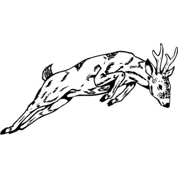 DEER020 Thumbnail