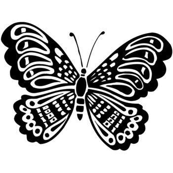 BTRFLY05 Thumbnail