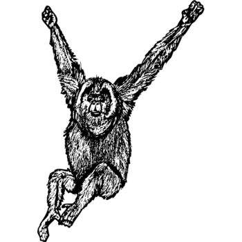 MONK005 Thumbnail