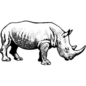 RHINO001 Thumbnail