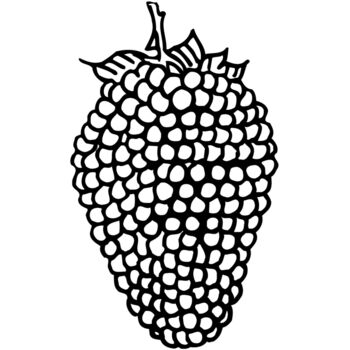 FRUIT003 Thumbnail