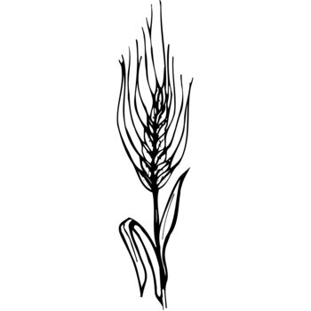 GRAIN009 Thumbnail