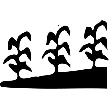 GRAIN016 Thumbnail