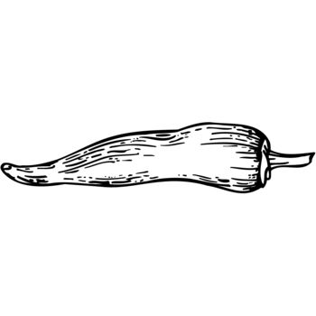 VEG012 Thumbnail