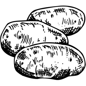 VEG013 Thumbnail