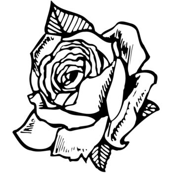 FLOWER03 Thumbnail
