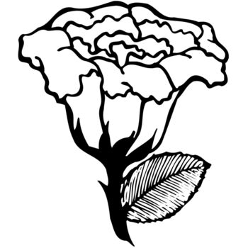 FLOWER10 Thumbnail