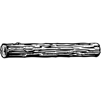 TIMBER10 Thumbnail