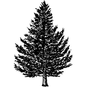 TREE0005 Thumbnail