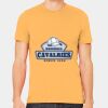 3001C Unisex Jersey T-Shirt Thumbnail