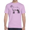 G800 Adult 5.5 oz., 50/50 T-Shirt Thumbnail