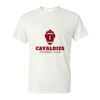 DryBlend® T-Shirt Thumbnail