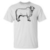 Men's Tall Ultra Cotton® T-Shirt Thumbnail