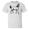 Ultra Cotton® Tall T-Shirt Thumbnail