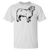 Men's Tall Ultra Cotton® T-Shirt Thumbnail