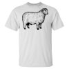 Men's Tall Ultra Cotton® T-Shirt Thumbnail