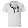 Ultra Cotton® Tall T-Shirt Thumbnail