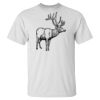 Ultra Cotton® Tall T-Shirt Thumbnail