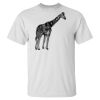 Men's Tall Ultra Cotton® T-Shirt Thumbnail