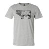 3001CV Unisex Short Sleeve Heather Jersey Tee Thumbnail