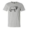 3001CV Unisex Short Sleeve Heather Jersey Tee Thumbnail