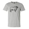 3001CV Unisex Short Sleeve Heather Jersey Tee Thumbnail