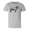 3001CV Unisex Short Sleeve Heather Jersey Tee Thumbnail