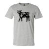 3001CV Unisex Short Sleeve Heather Jersey Tee Thumbnail