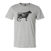 3001CV Unisex Short Sleeve Heather Jersey Tee Thumbnail