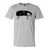 3001CV Unisex Short Sleeve Heather Jersey Tee Thumbnail