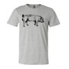 3001CV Unisex Short Sleeve Heather Jersey Tee Thumbnail