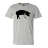 3001CV Unisex Short Sleeve Heather Jersey Tee Thumbnail