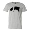 3001CV Unisex Short Sleeve Heather Jersey Tee Thumbnail