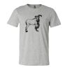 3001CV Unisex Short Sleeve Heather Jersey Tee Thumbnail