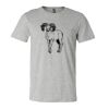 3001CV Unisex Short Sleeve Heather Jersey Tee Thumbnail