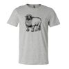 3001CV Unisex Short Sleeve Heather Jersey Tee Thumbnail