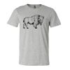 3001CV Unisex Short Sleeve Heather Jersey Tee Thumbnail