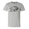 3001CV Unisex Short Sleeve Heather Jersey Tee Thumbnail