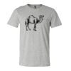 3001CV Unisex Short Sleeve Heather Jersey Tee Thumbnail