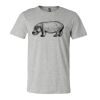 3001CV Unisex Short Sleeve Heather Jersey Tee Thumbnail