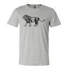 3001CV Unisex Short Sleeve Heather Jersey Tee Thumbnail