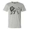 3001CV Unisex Short Sleeve Heather Jersey Tee Thumbnail