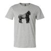 3001CV Unisex Short Sleeve Heather Jersey Tee Thumbnail
