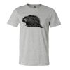 3001CV Unisex Short Sleeve Heather Jersey Tee Thumbnail